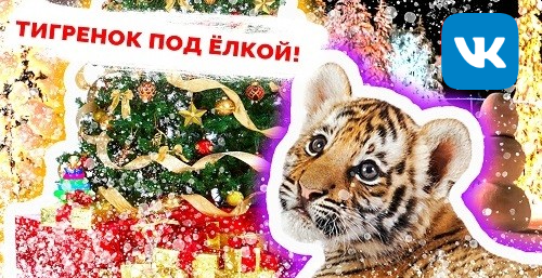 �������� ��� �����!