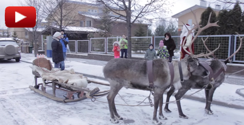 ����� ����� � ���� ������ � ����������